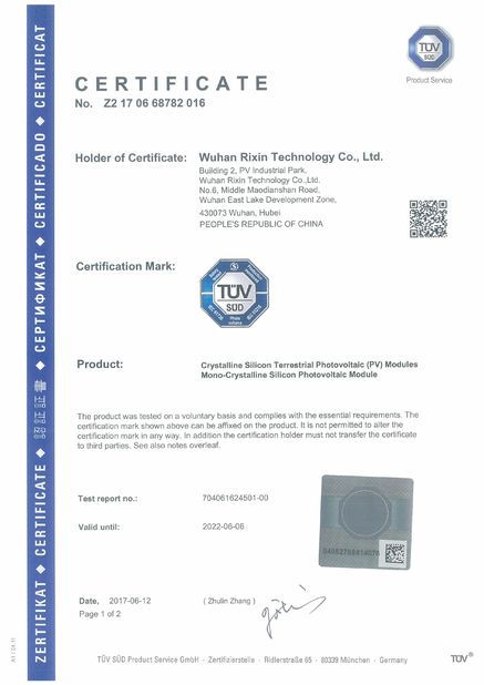 China Wuhan Rixin Technology Co., Ltd. zertifizierungen